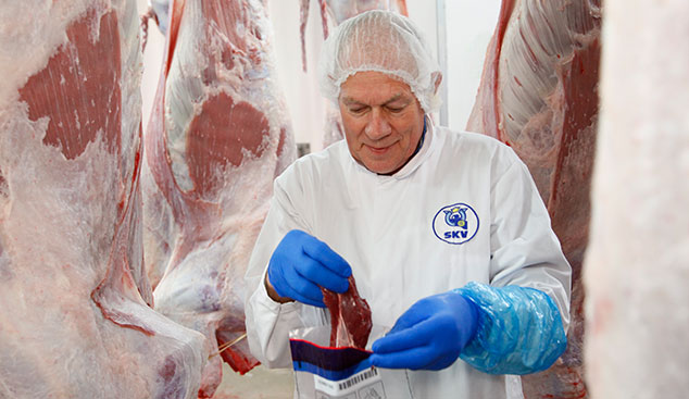 Food safety inspector collects veal sample