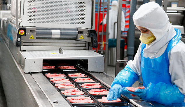 Veal processing facility employee inspects veal cutlets on production line
